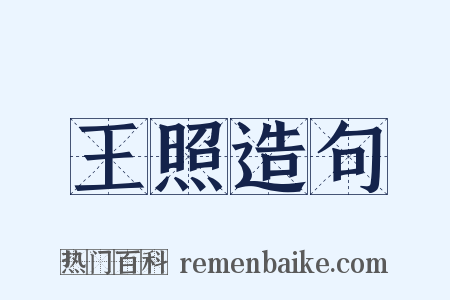 王照造句是什么意思的图片
